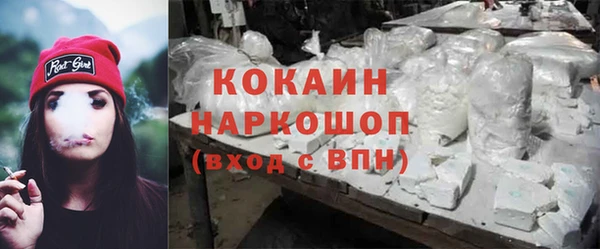 сатива Абинск