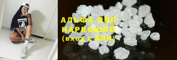 сатива Абинск