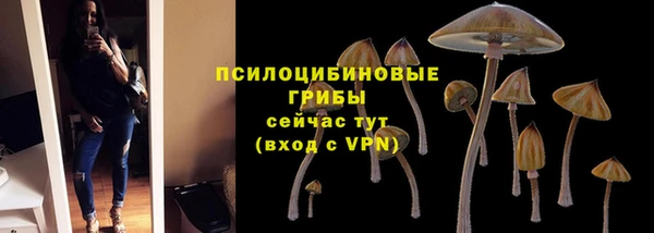 каннабис Алексин