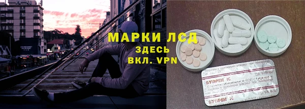 сатива Абинск